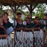 Zobacz w powiększeniu: Dożynki Gminne Baranów 2025 (18)